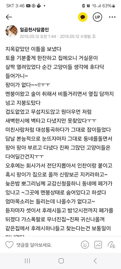 고양이 잃어버리신 분들께 도움이 되길~ 썸네일