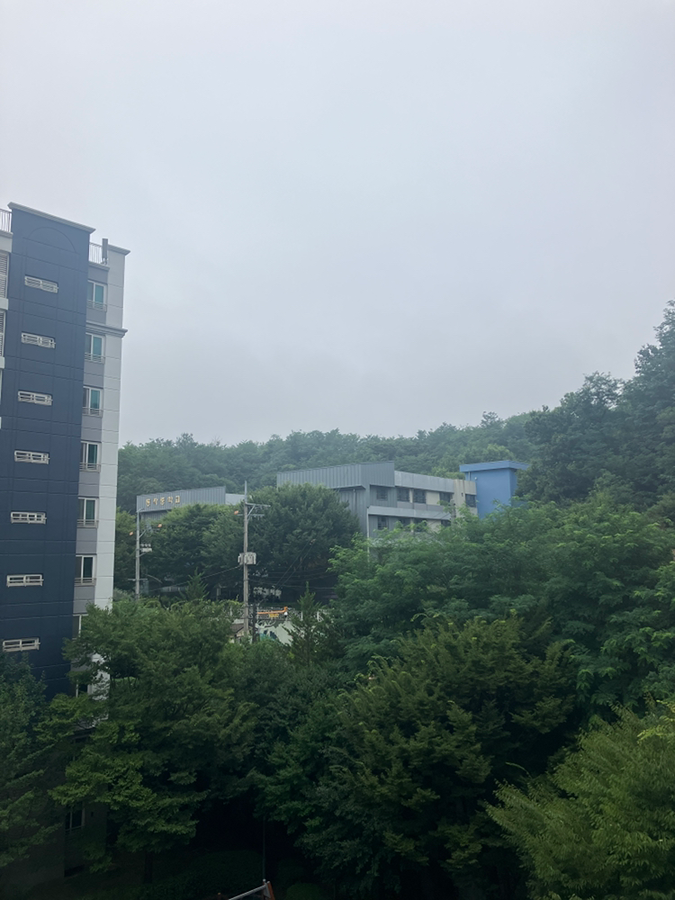 동작중학교 오케스트라 썸네일