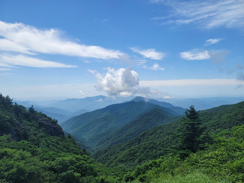 ⛰️ 어흥 산악회 ⛰️