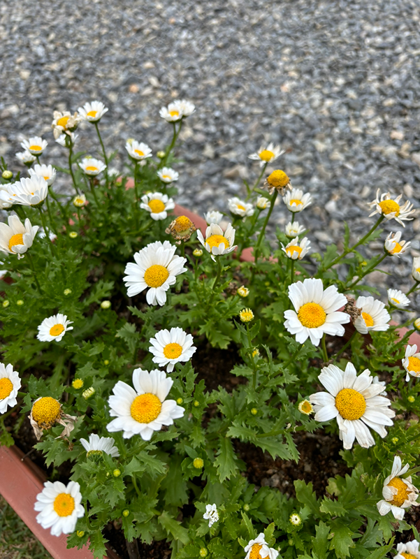 자기계발 중독자모임 썸네일