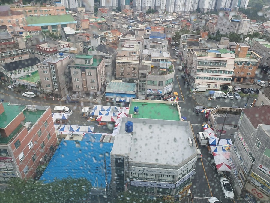 용원 장날 열렸습니다 썸네일