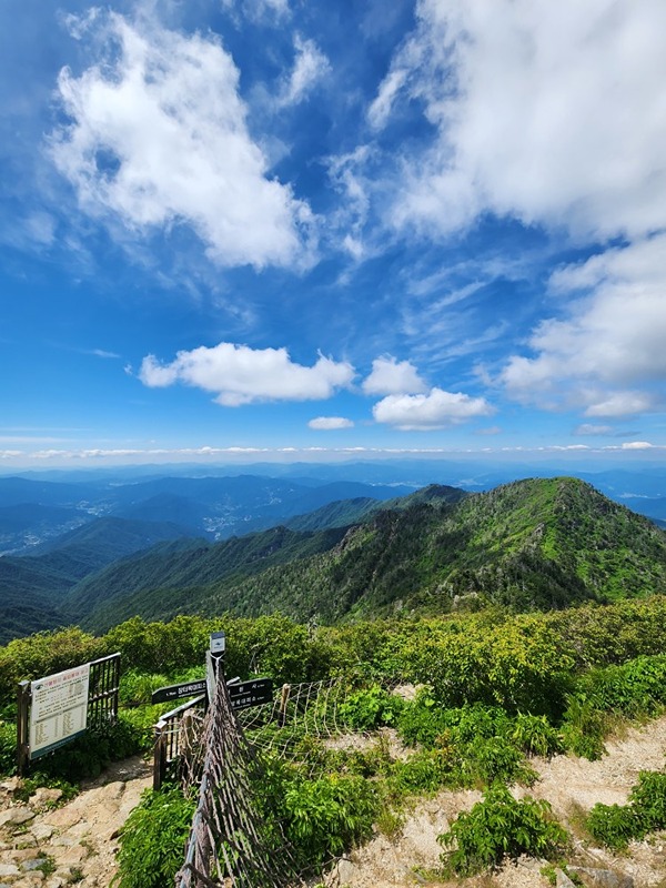 지리산 갈래? 썸네일