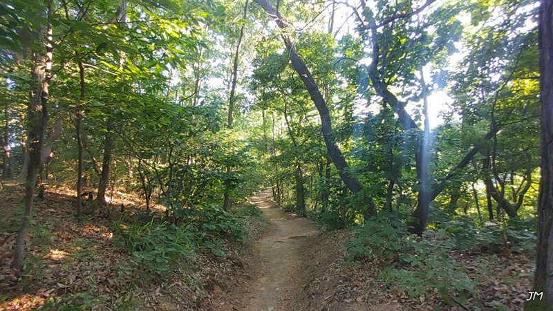 원주 맨발의 청춘 (원ㆍ맨ㆍ청)