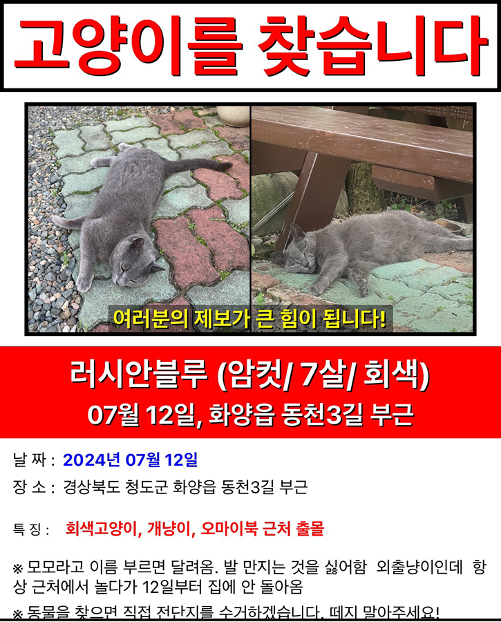 고양이 썸네일