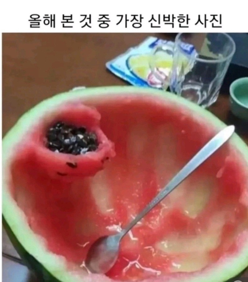 신박한 사진 썸네일