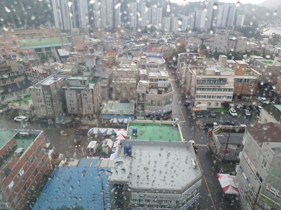 용원 장날 열렸습니다 썸네일