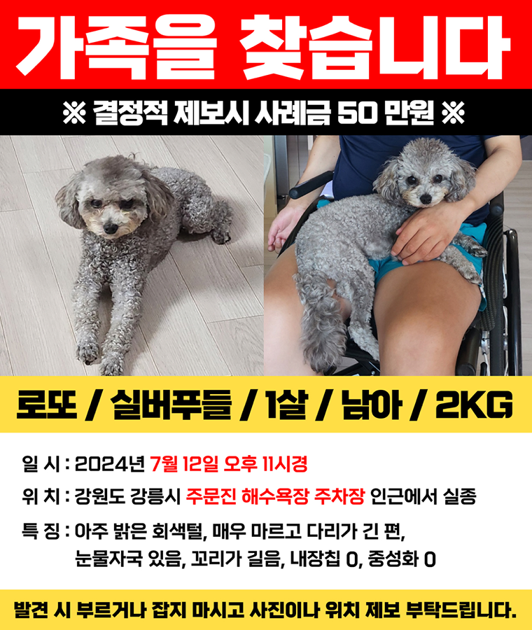 주문진에서 실종된 로또를 찾습니다. 썸네일