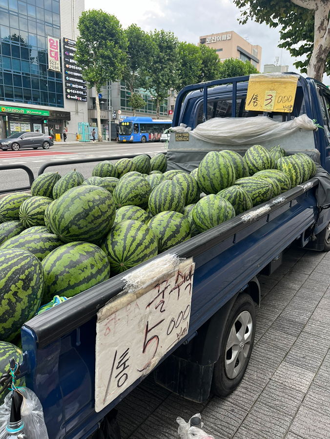 수박 진짜 맛있어요 썸네일