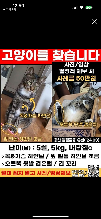 고양이를 찾습니다 썸네일