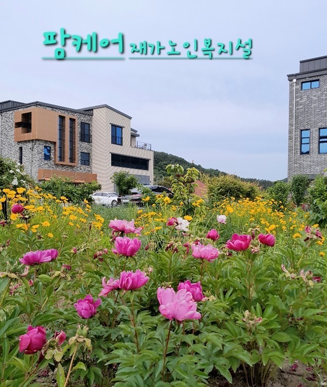 팜케어 어르신학교 썸네일