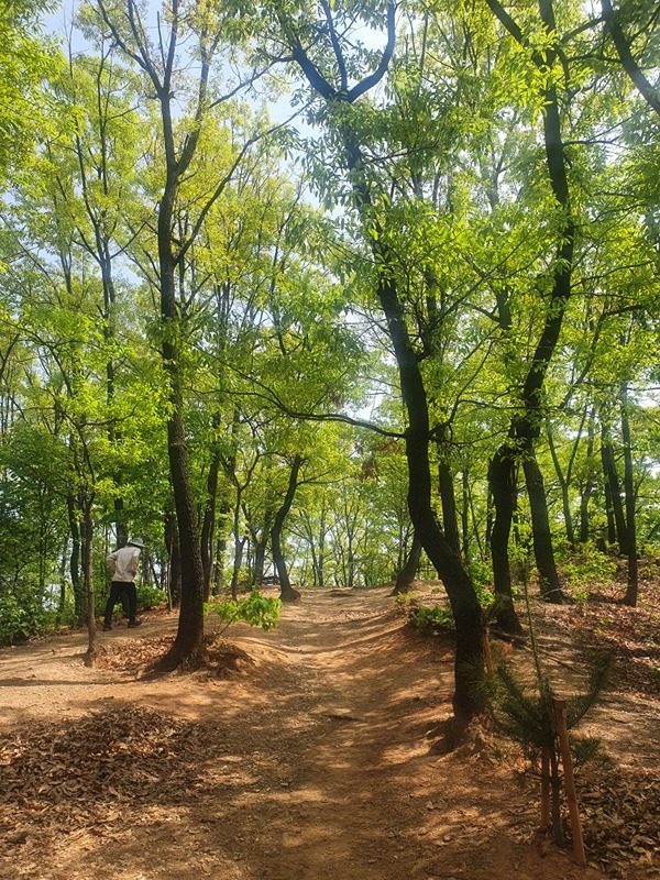 다이어터 우장산 한바퀴 썸네일