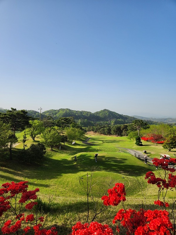 전북전주 81골프친구~ 썸네일