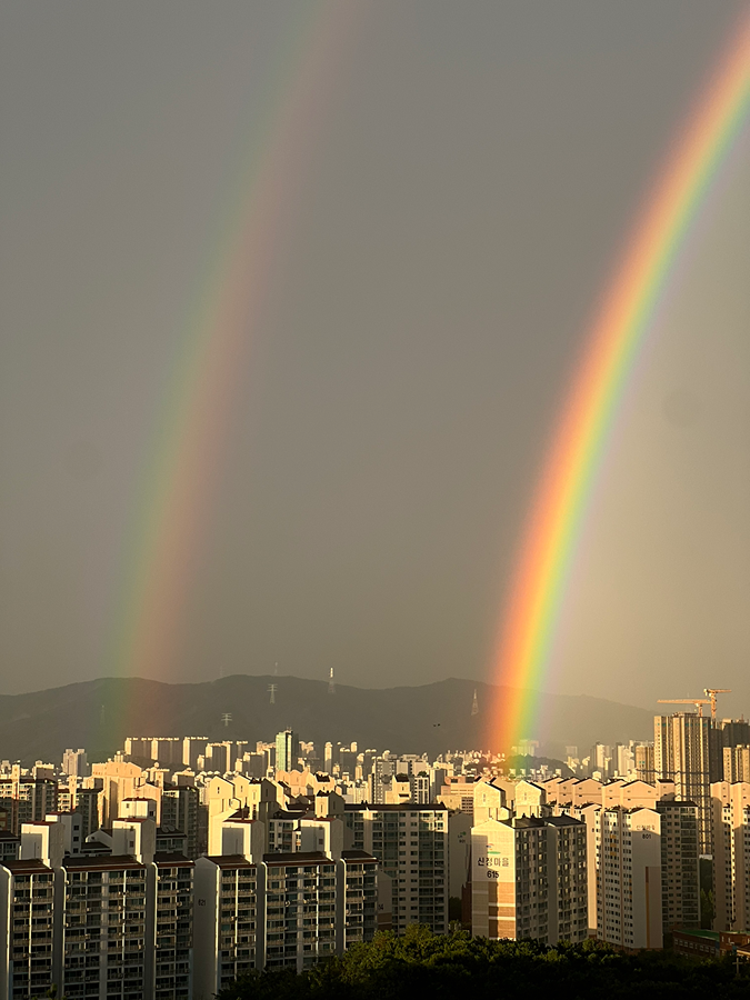 폭우 뒤 아름다운 쌍무지개🌈 썸네일