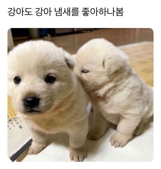 배드민턴 썸네일