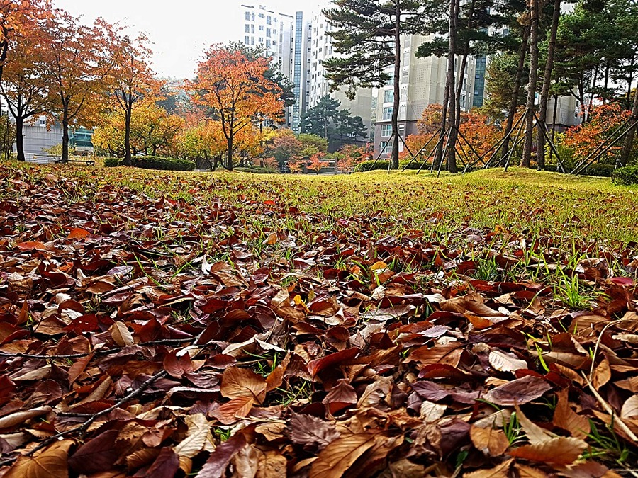 요즘 대주1단지 진짜시세는? 썸네일