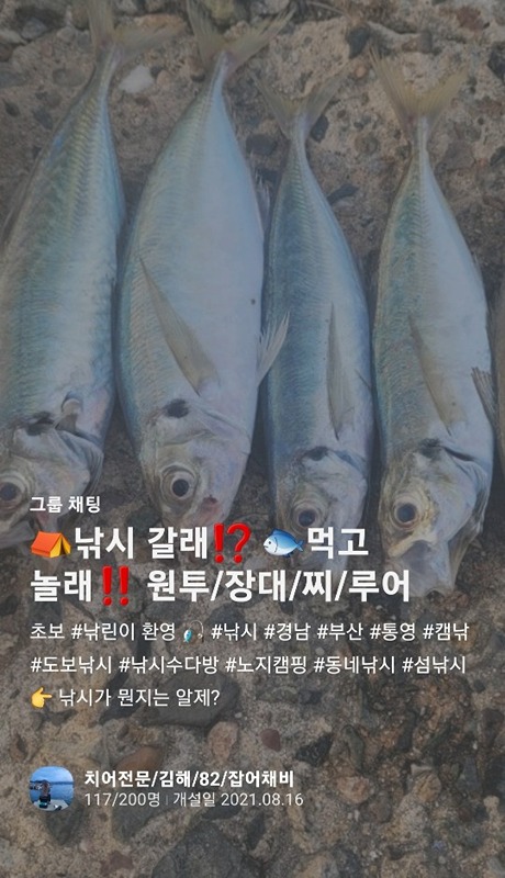 1인 캠린이 초보 낚린이 바다 방파제권 캠낚 썸네일