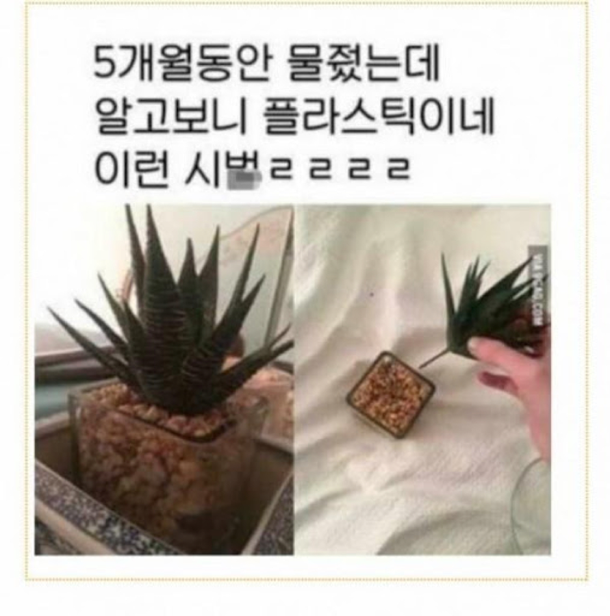 살다보면.. 썸네일