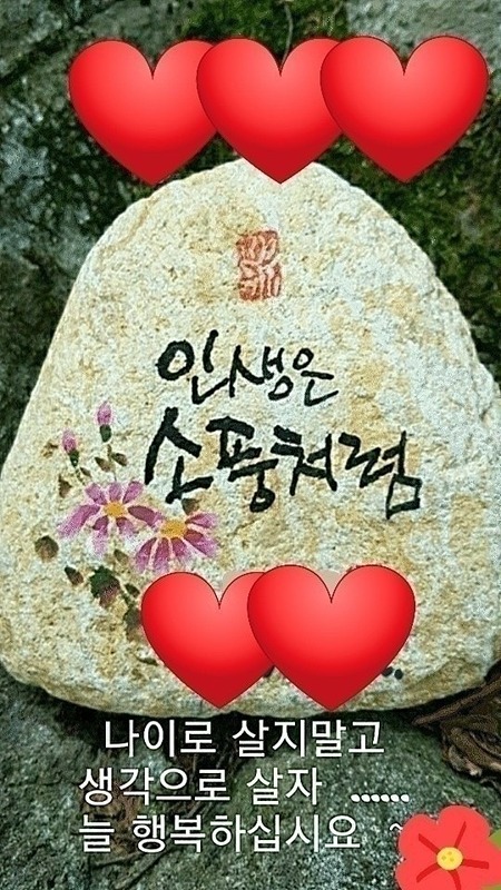 💙젊은 청춘들💕 썸네일