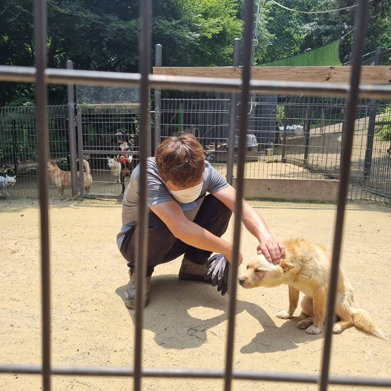 유기동물보호소봉사모임 썸네일