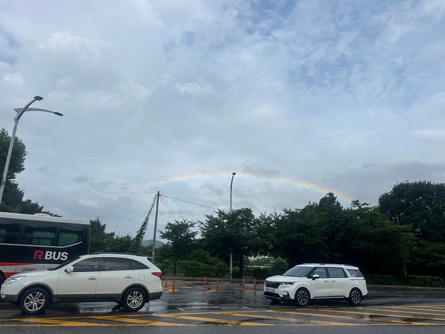 엄청 큰 무지개가 과천동에❣️ 썸네일