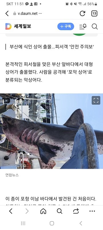 이제 부산 해수욕장 가서 수영하심 죽을 수도 있어요 썸네일