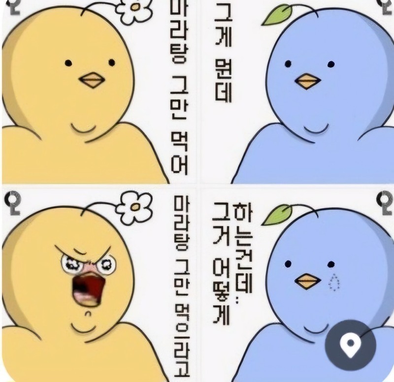 마라탕탕후루루루루 썸네일