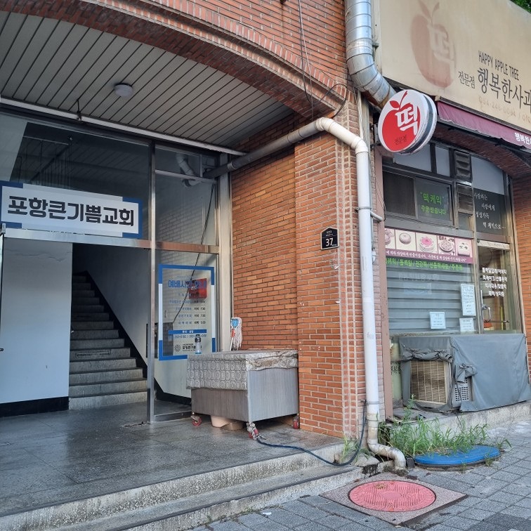 고양이새끼가  울고 있네요   집에 동물을 키우고 있어서 데려갈수가 없네요 썸네일