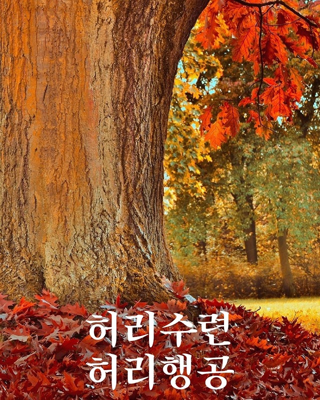 시간 공간 인간 썸네일