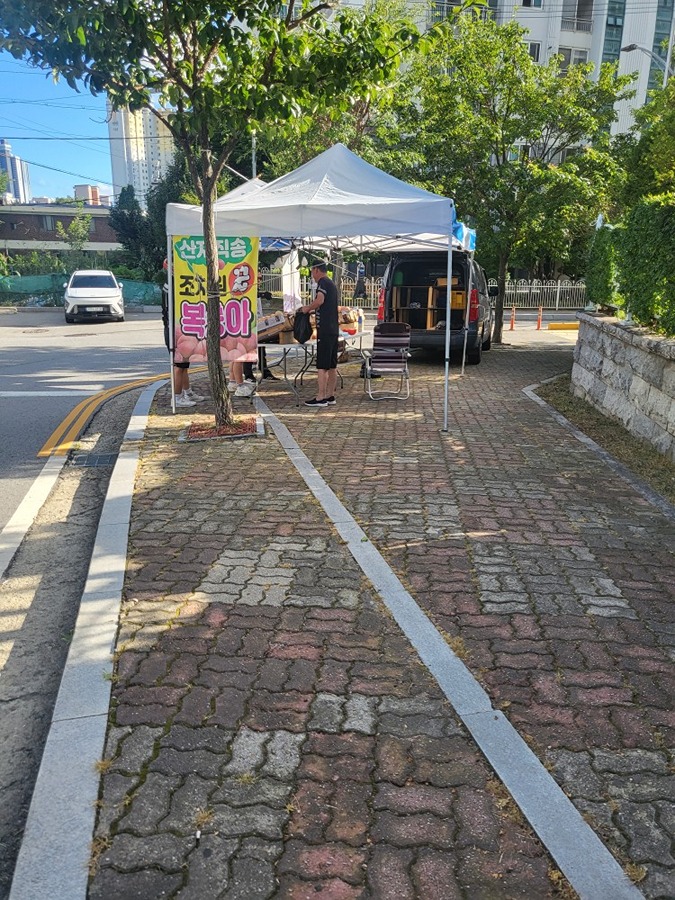 복숭아차 썸네일