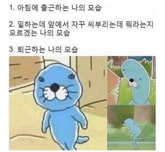 직장-집-직장-집 (잡다한 이야기하기) 썸네일