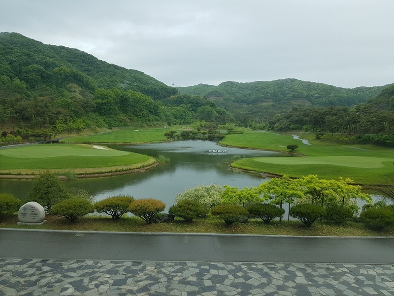(여명골)김포여자들명랑골프모임⛳️ 썸네일