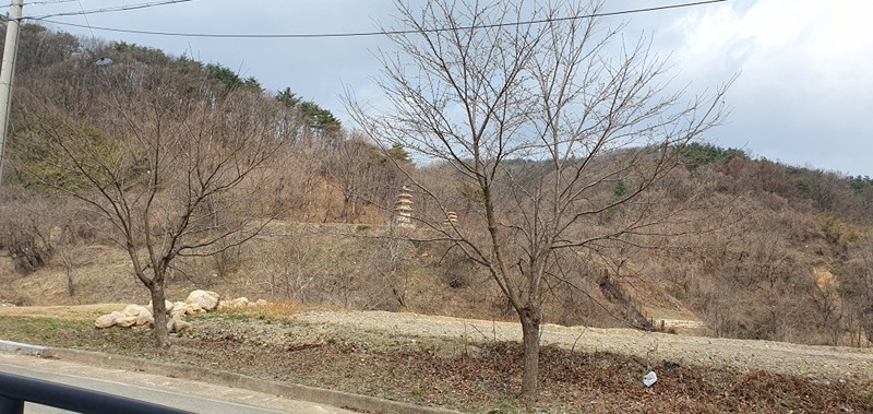 대구 자유로운 솔로 돌싱 더블들의 속삭임 썸네일