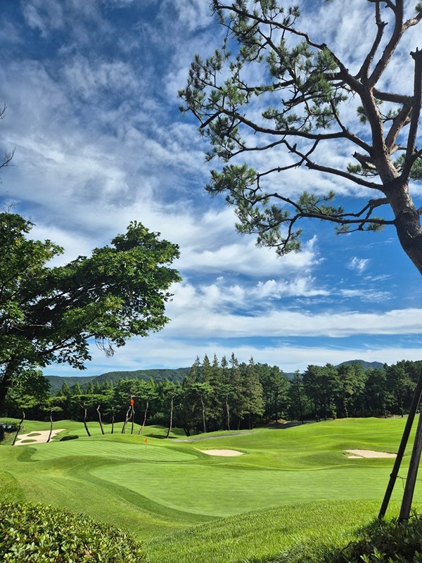 ⛳️골동품⛳️ 썸네일