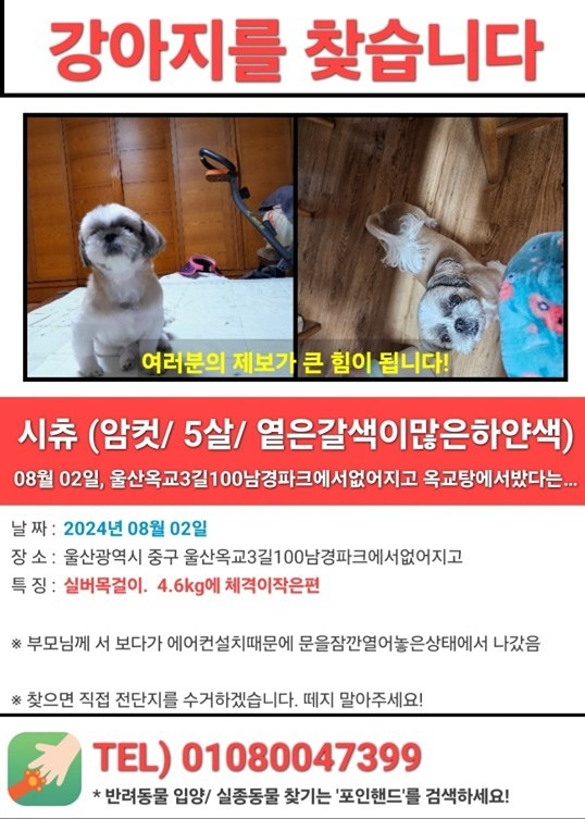 강아지를 잃어버렸어요ㆍ도와주세요 썸네일