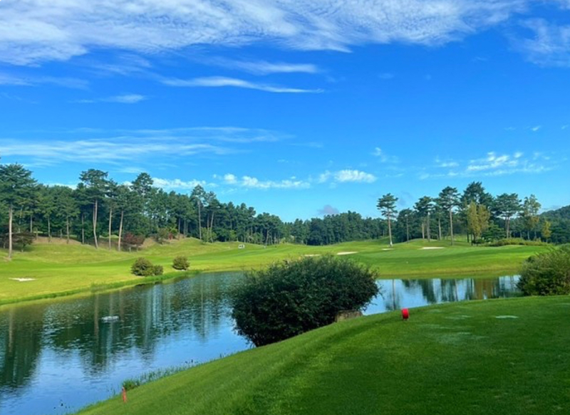 3040 강남 미혼 골린이 모임 ⛳️ 썸네일