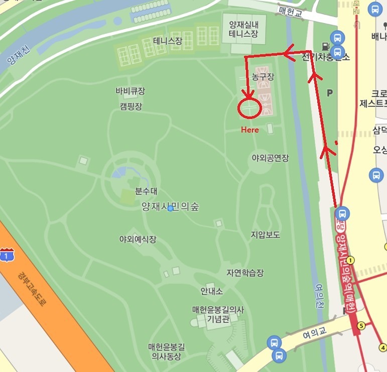 프랑스 전통경기 페탕크 무료 강습 썸네일