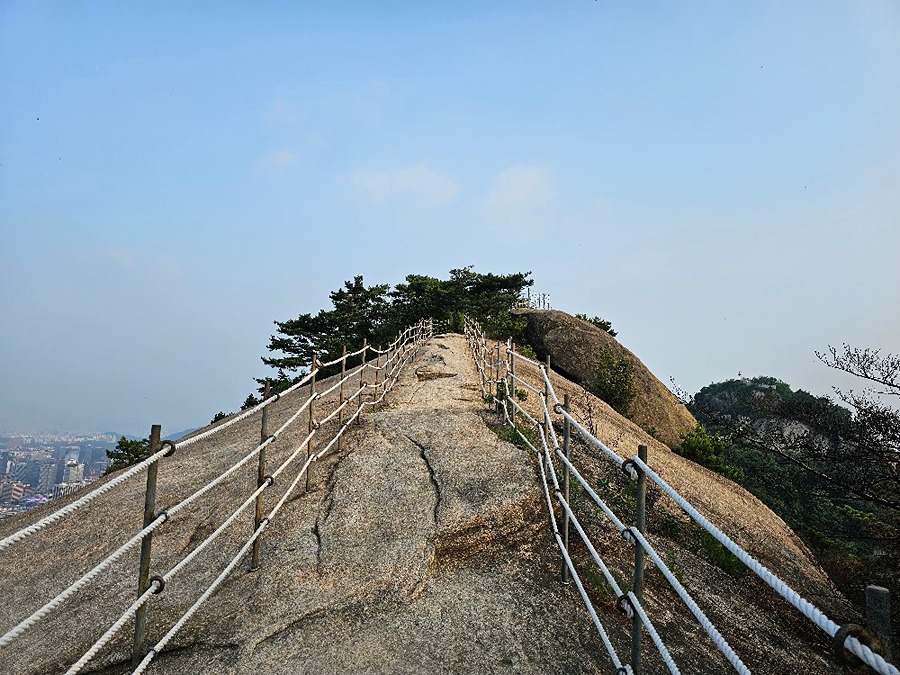 인왕산 화재 이후 재등산 썸네일