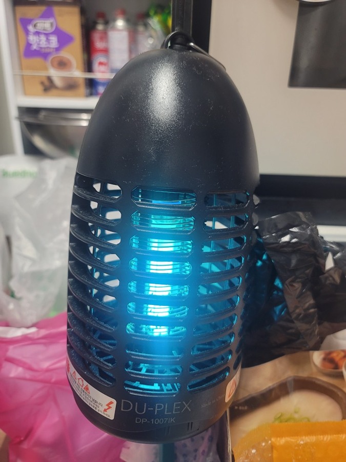 초파리 퇴치 강력추천! 썸네일