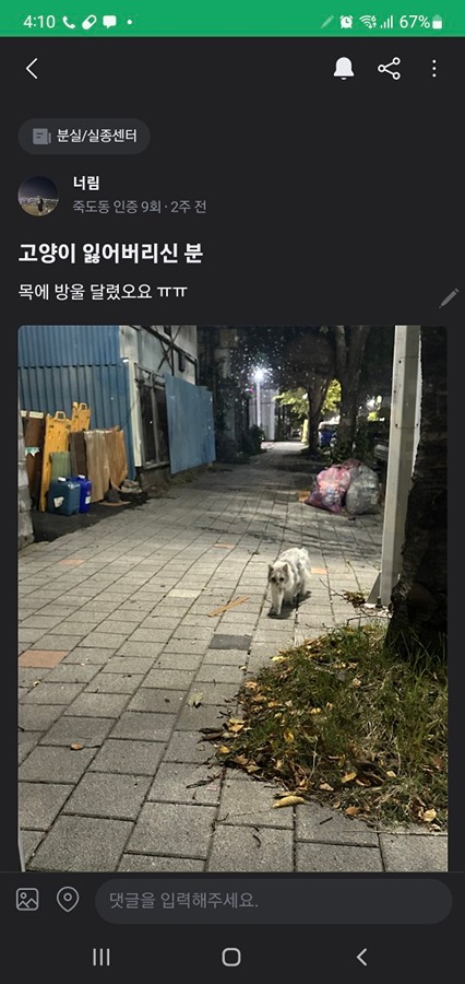 해도 고양이 찾습니다 썸네일