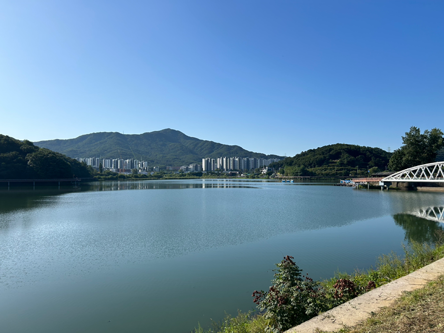 백운호수에서 축제(토,일) 하네요 썸네일